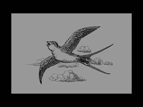 Sunce djever i Neva Nevičica – 1. dio