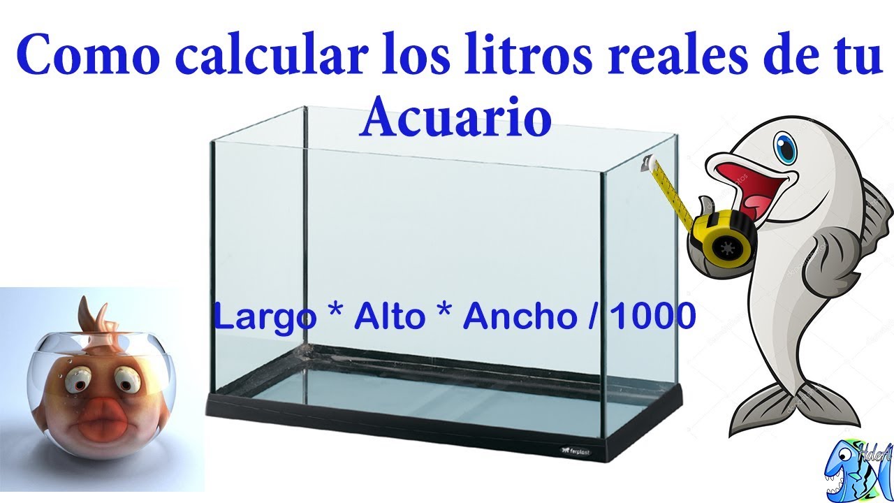 Como calcular los litros reales de tu Acuario