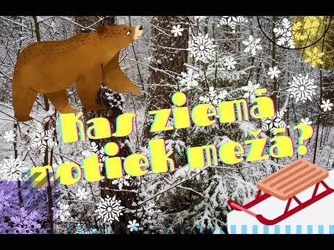 Dabas Pētnieki  - Kas ziemā notiek mežā? Video bērniem.