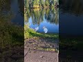 Simplicity Love Silence Life And Beauty ️