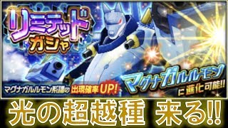 【デジモンリアライズ】光の超越種マグナガルルモンを狙う！！　digimon rearise