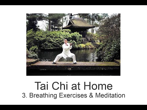 Easy Tai Chi Exercises for Beginners | Breathing Exercises & Standing Meditation | Tai Chi at Home