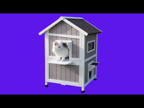 Before You Buy ROCKEVER Outdoor Cat Shelter with Escape Door Rainproof Outside Kitty House