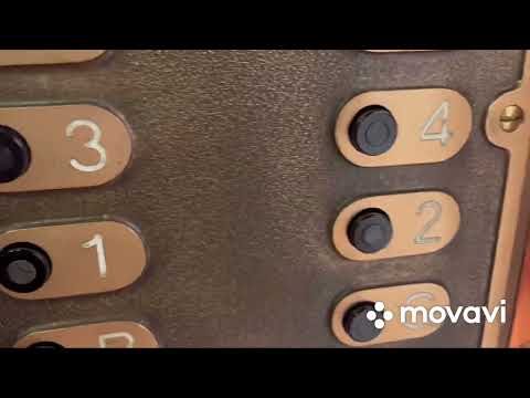 Beautiful 1940s OTIS traction elevators @ Harrods in London, England (Lifts 131-136)