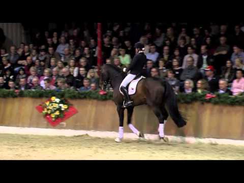 Franziskus - Sosath (Stallion Show 2014)