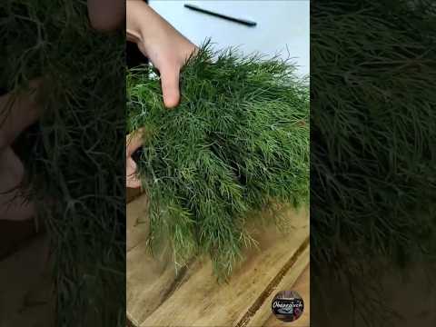 A simple trick to make dill look fresh from the garden in winter
