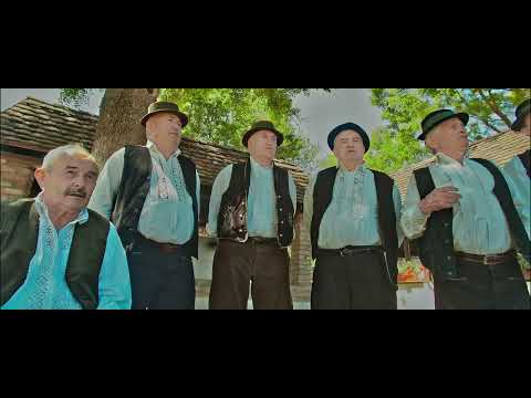 Ilija Babić, MPS Babogreci ft. Rockoko Orchestra - Na stanu sam gazda (Official 4k video)
