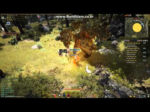 BlackDesert64 2015 01 24 19 11 59 822