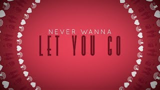 Never Wanna Let You Go - Megan Nicole (Lyric Video)