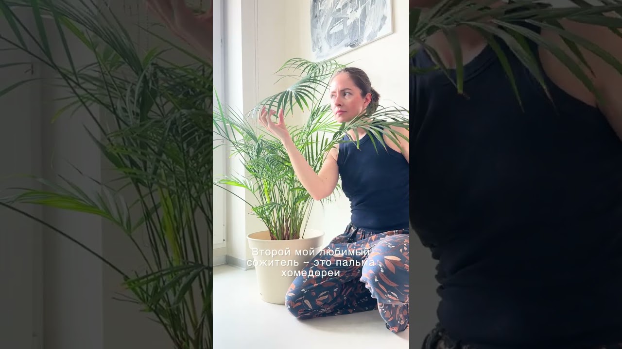 Обзор на мои растения 🌱 