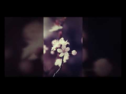 MadDog Ost [Eric Nam]