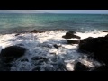 IMG 01551