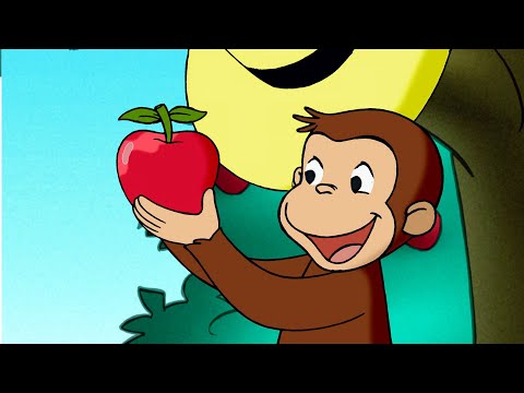 Nickes perfekta äpple! | Nicke Nyfiken | Tecknad Film för Barn