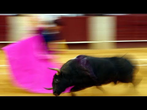 Garraiada na Queima das Fitas de Évora continua envolta em polémica