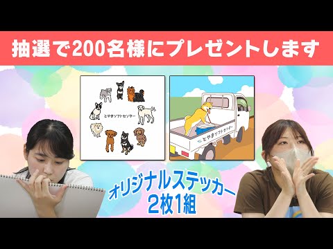 ステッカー視聴者プレゼント【２枚１組×200名様】