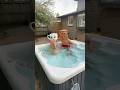 BALLERINA CAPPUCCINA X TUNG TUNG SAHUR CAUGHT IN HOT TUB