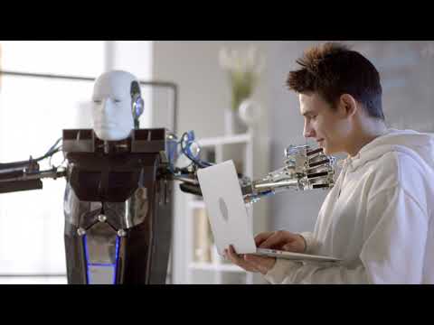 New Programs in 2024/2025 - Portfolio PS