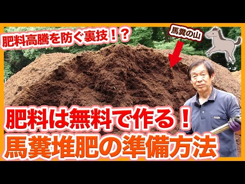 冬に庭で馬糞を使用するにはどうすればよいですか？利点、アドバイス、使用方法  庭園
