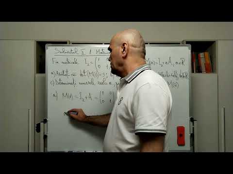 Subiectul II.1. Matrice (2a)