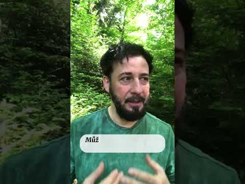 YouTube náhled videa