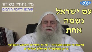 צינור החיים והשפע האלוקי פרשת כי תבוא תשפ"ה מאת כ"ק האדמו"ר מרחלין שליט"א (חסידות רחלין) - התמונה מוצגת ישירות מתוך אתר האינטרנט יוטיוב. זכויות היוצרים בתמונה שייכות ליוצרה. קישור קרדיט למקור התוכן נמצא בתוך דף הסרטון