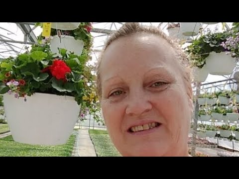 Flower Shopping @ Snow Avenue Greenhouse