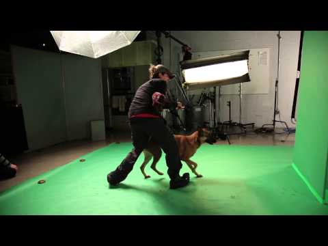 Happy Birthday Marty