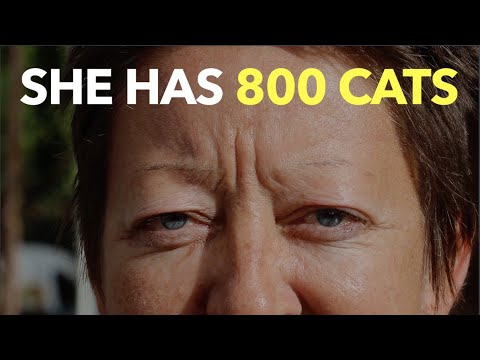 彼女は800匹の猫を飼っている (She Has 800 Cats)