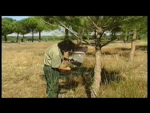 Ribera de Castronuño (Parte 2/2)