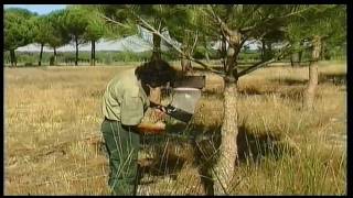 Ribera de Castronuño (Parte 2/2)