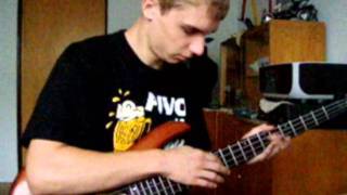 Guano Apes Scratch The Pitch bass cover