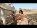 Viral Milk Making Prepare Vlog ️