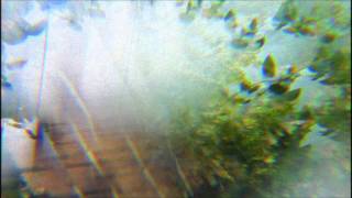 Aidan Knight - The Arp [Official Audio]