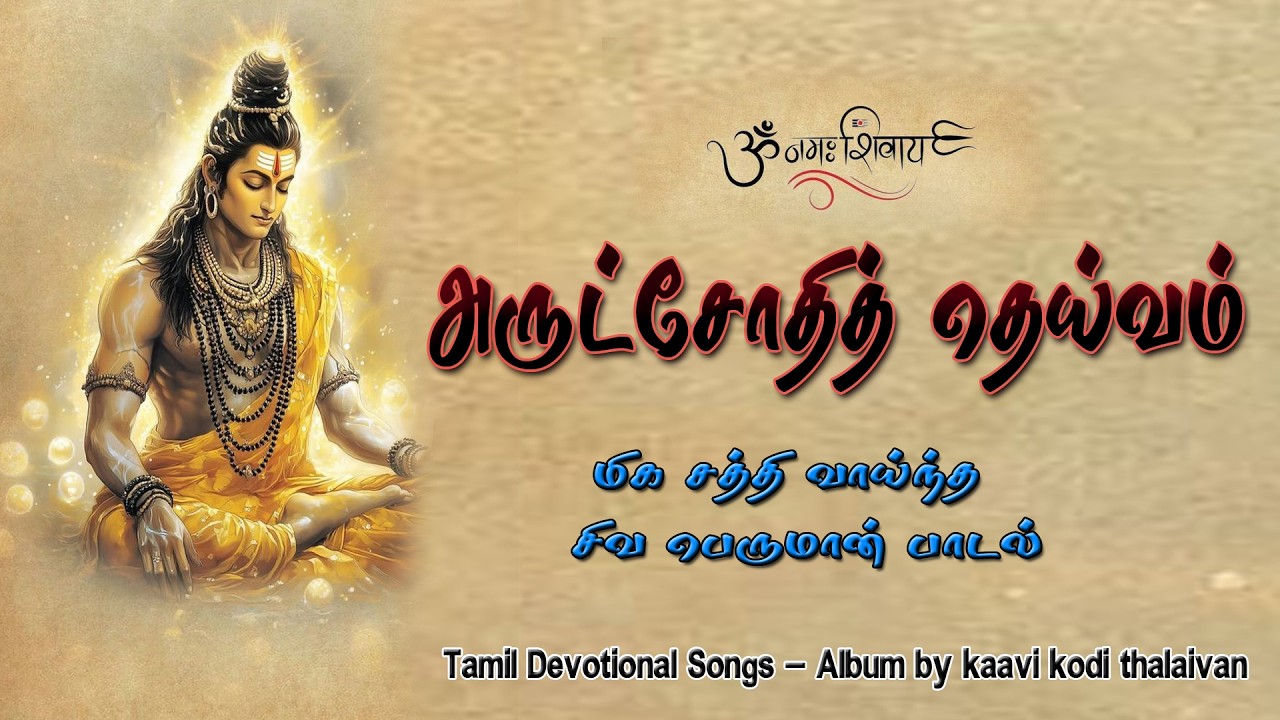 மன அமைதி தரும் அருட்பெருஞ்ஜோதி பாடல் | Om Namah Shivaya Songs Tamil | Vallal