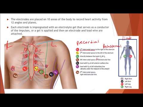 NHA EKG and Cardiovascular Testing Module 13. Medical assistant. Part 1 Lecture.