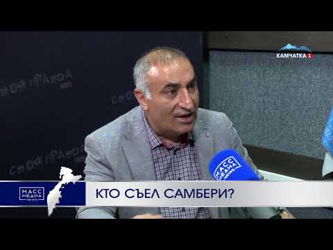 Кто 'съел' Самбери на Камчатке? | Новости Камчатки | Происшествия | Масс Медиа