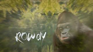 Monkey Business | Discovery India