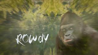Monkey Business | Discovery India