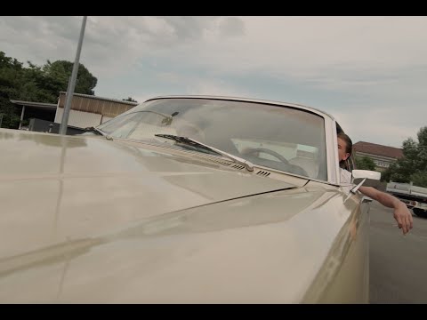 Video-Vorschau von {{ movie.title }}