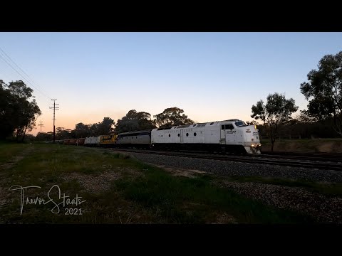 Vintage Diesels on SSR Grain: 7CM1 - CLF3 S311 4904 CLP12 Glenrowan  August 2021