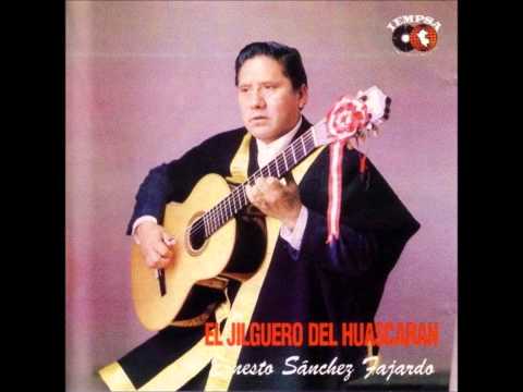 Retamita Verde - El Jilguero del Huascarán