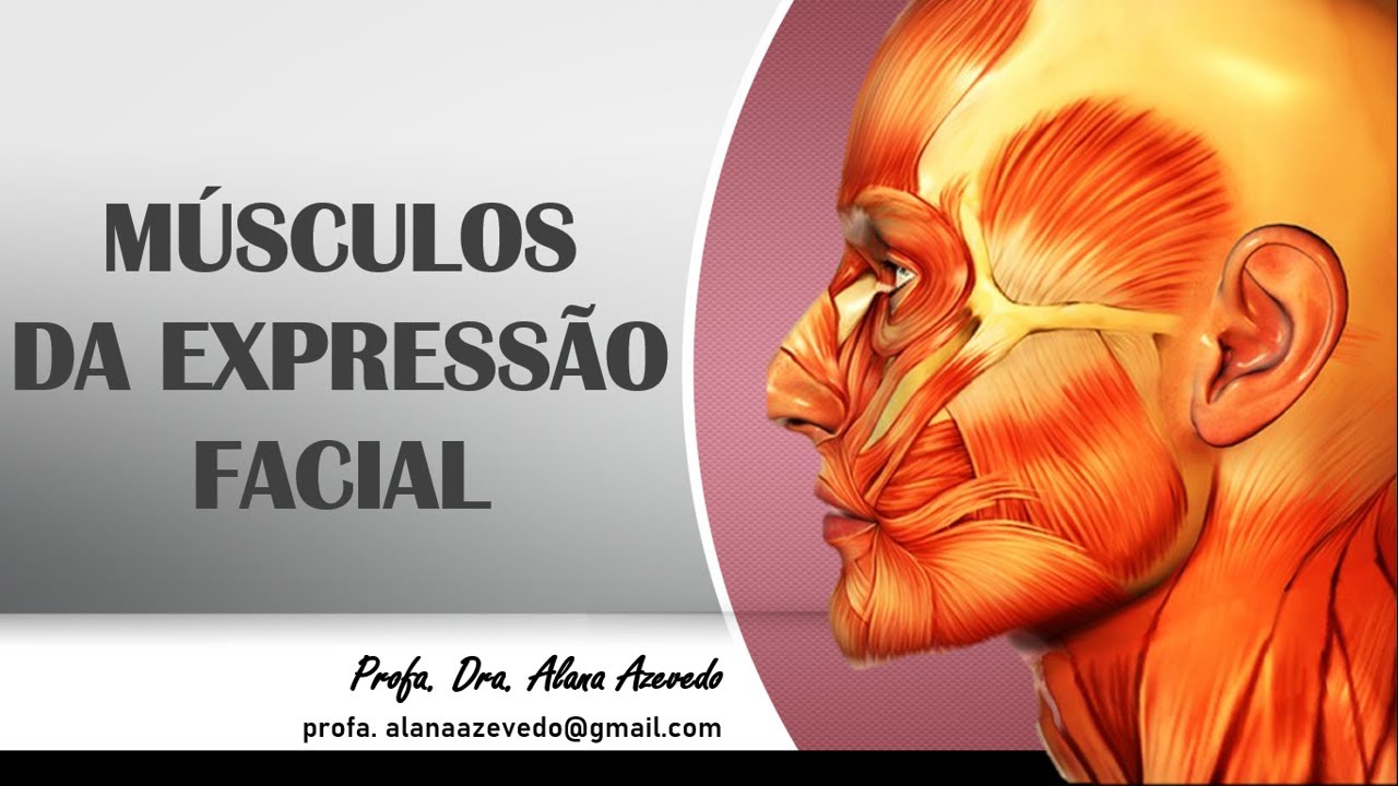 Músculos da expressão facial