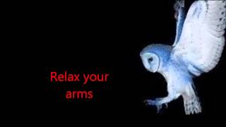 Deftones - Risk - Lyrics