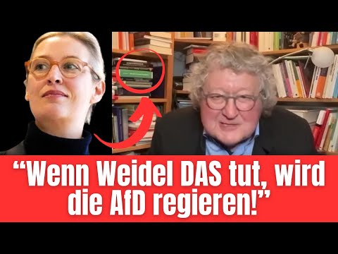 Politikwissenschaftler mit unfassbarer AfD-Prognose für 2026 - wird der ÖRR das Video löschen? 😮