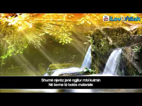 Mos u deshpero! mbas cdo veshtiresie vjen lehtesimı - Mufti Menk shqip