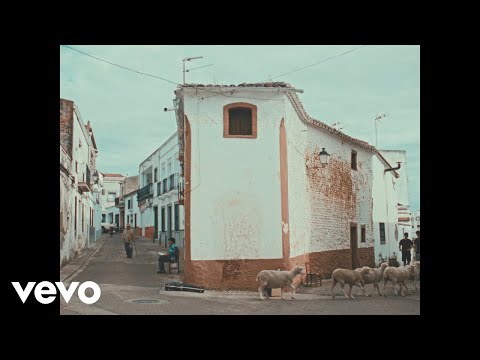 Sanguijuelas del Guadiana - 100 Amapolas Videoclip Oficial
