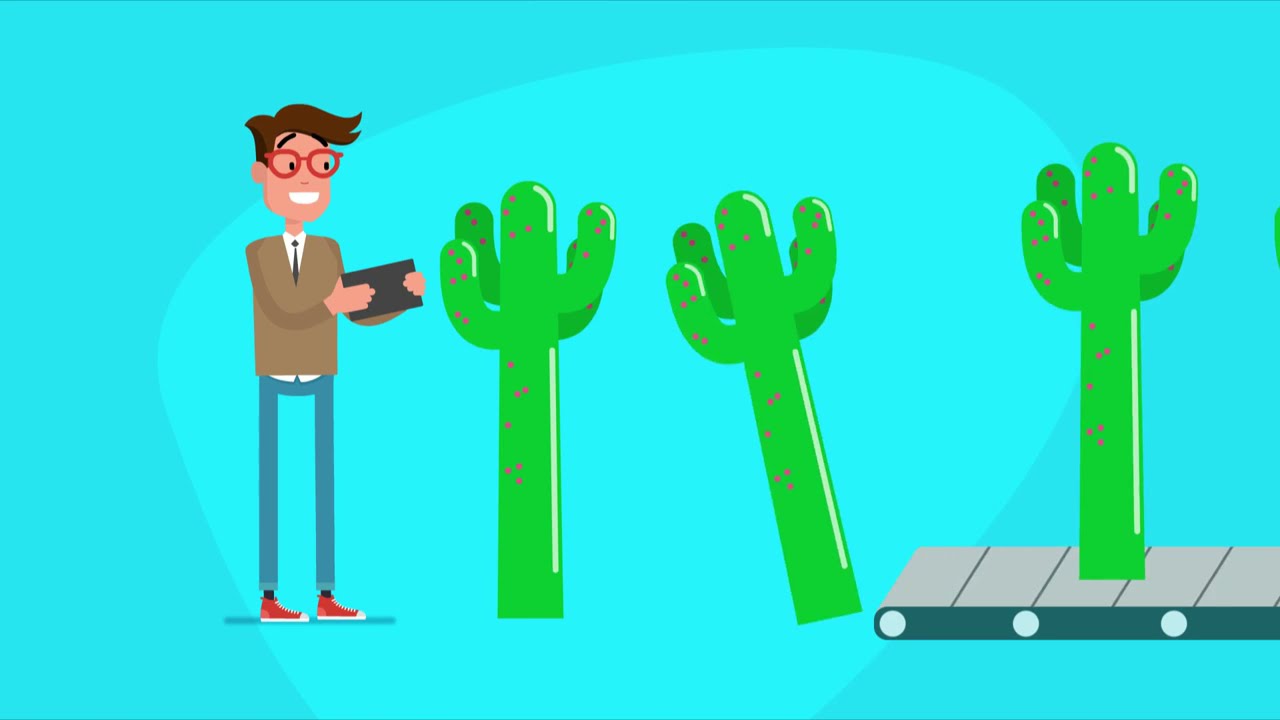 MBE e LINK   Plug in de logística para E commerce