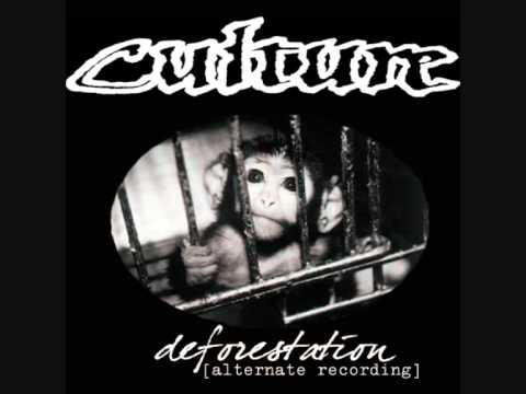 culture-memento mori