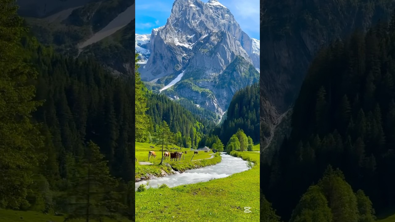 YouTube Short thumbnail