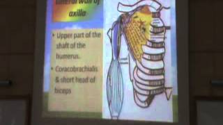 Dr. Sherif [Upper] 22/12/2013